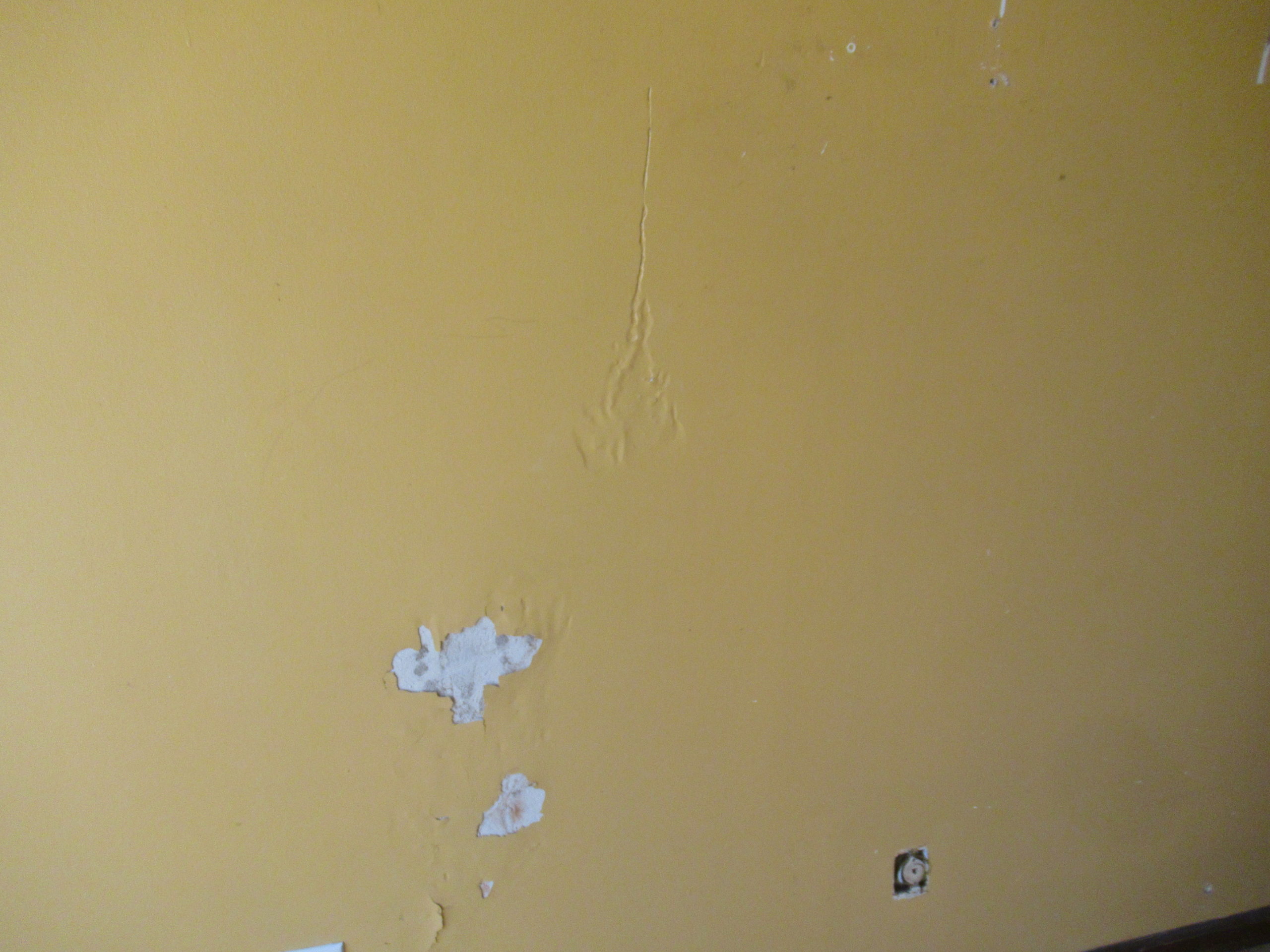 Termite tunnels in drywall