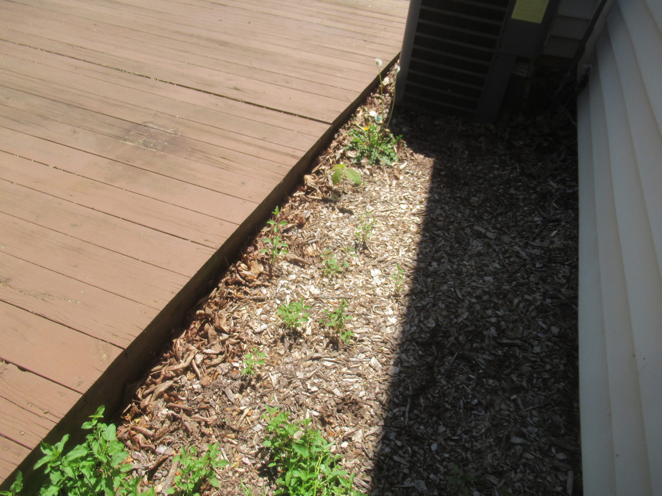 Deck in contact with soil