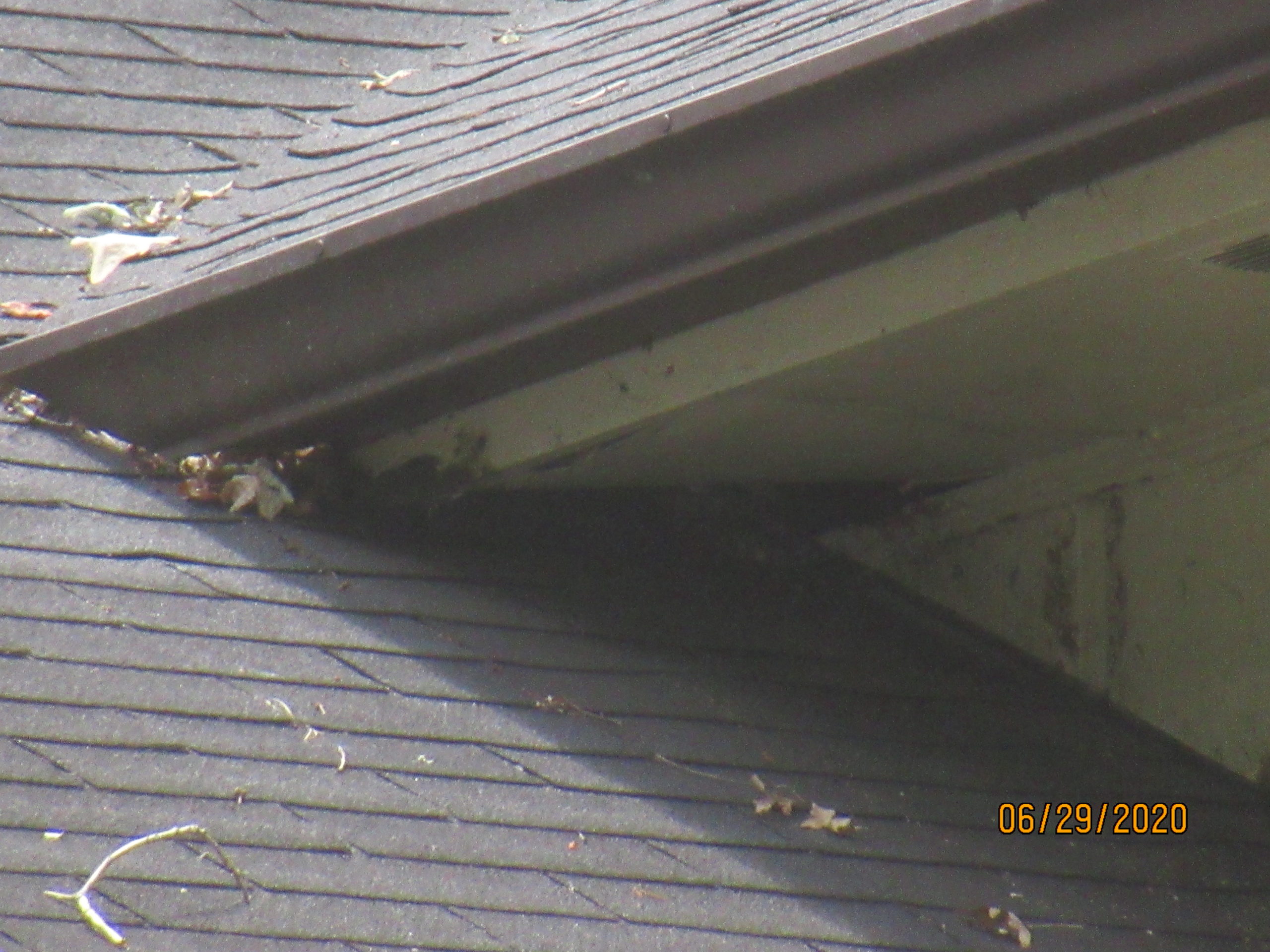 Rotten wood fascia and soffit