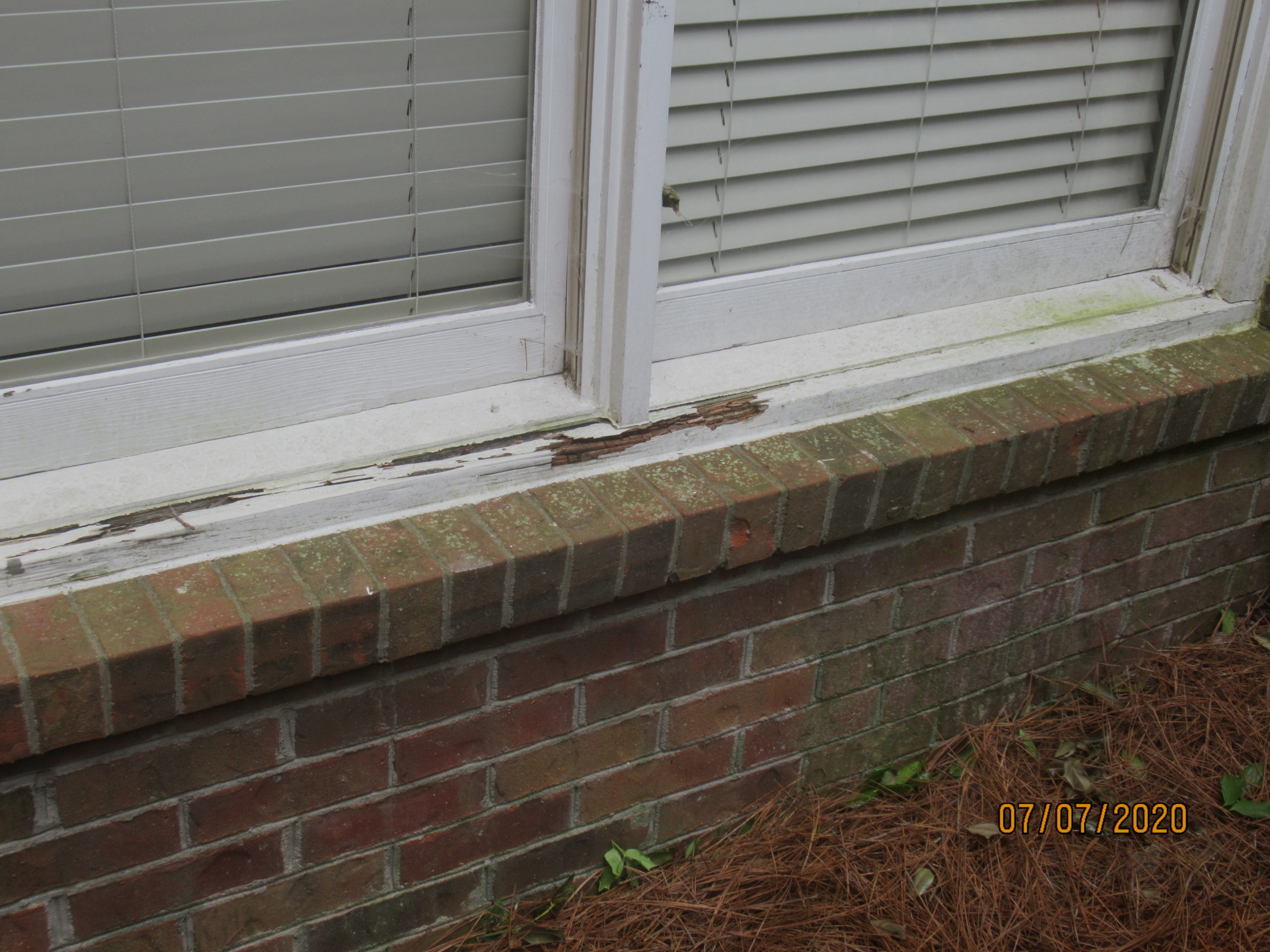 Rotten window sill termites