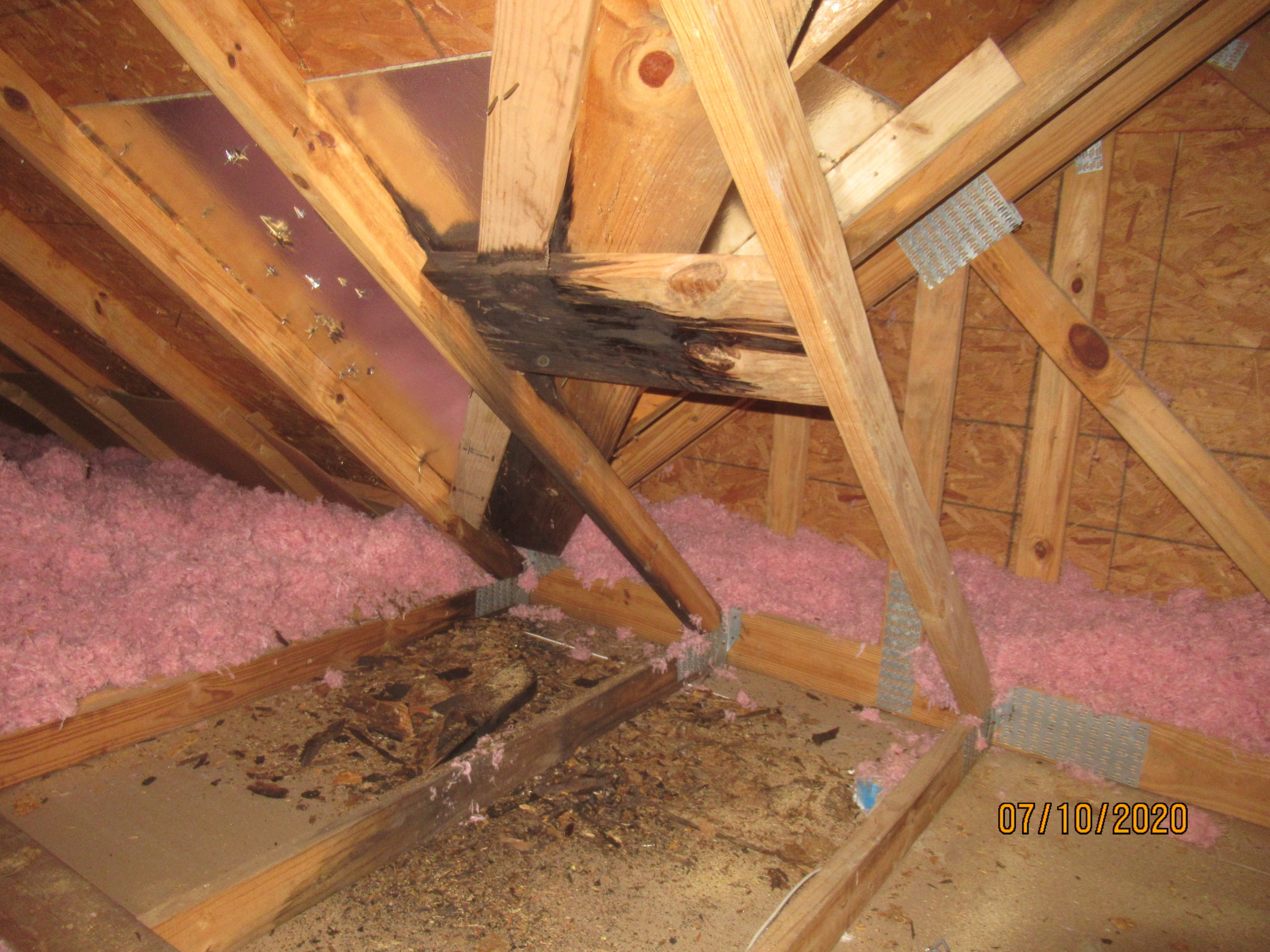 Rot damaged roof framing