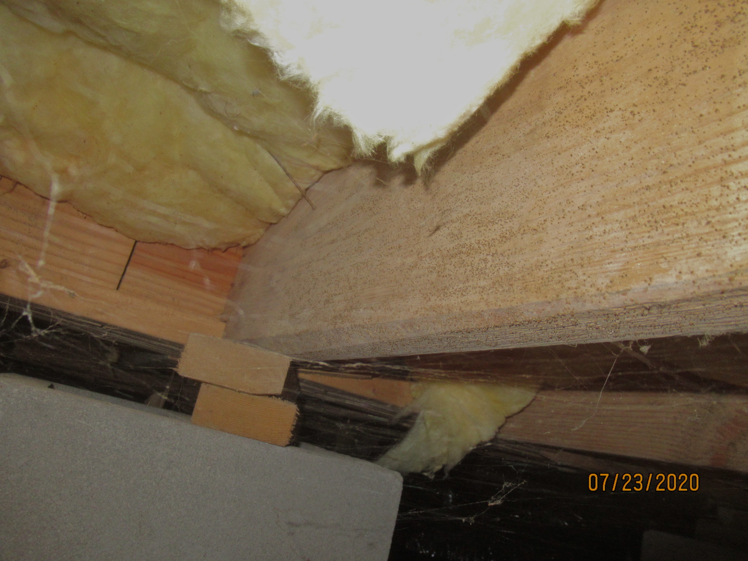 Mold growth floor framing