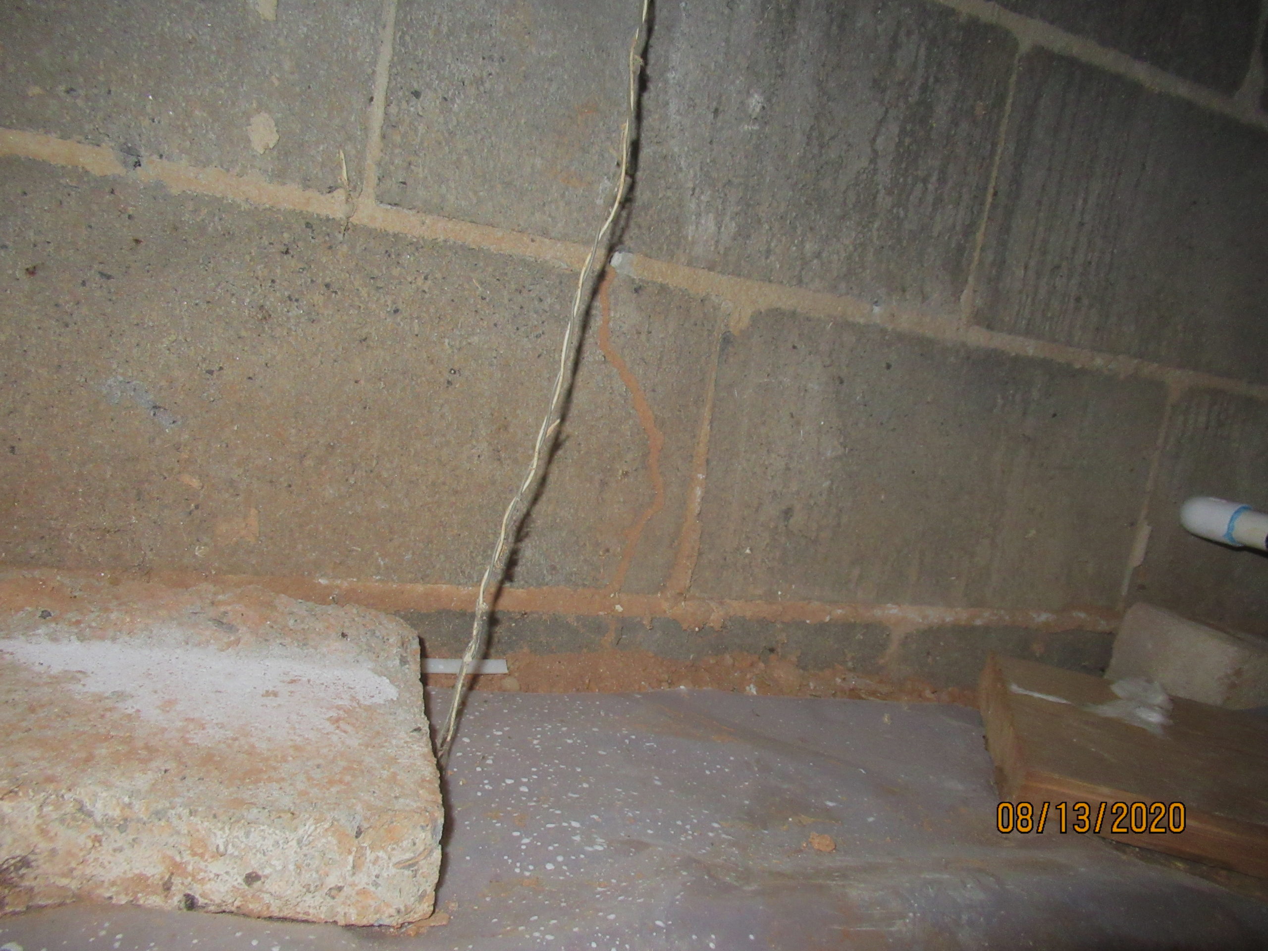 Termite tunnels in foundation wall