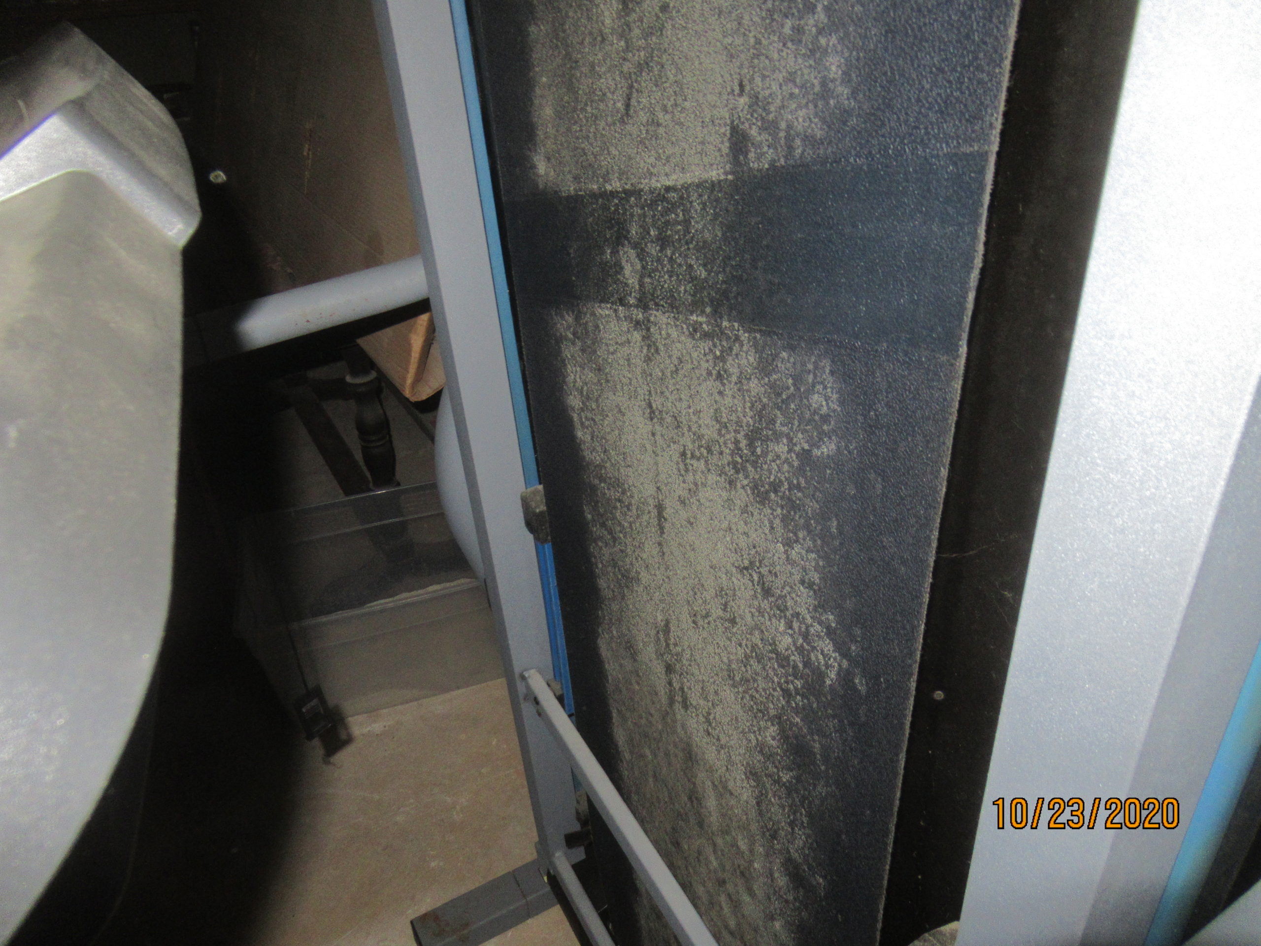 Mold growth on basement belongings