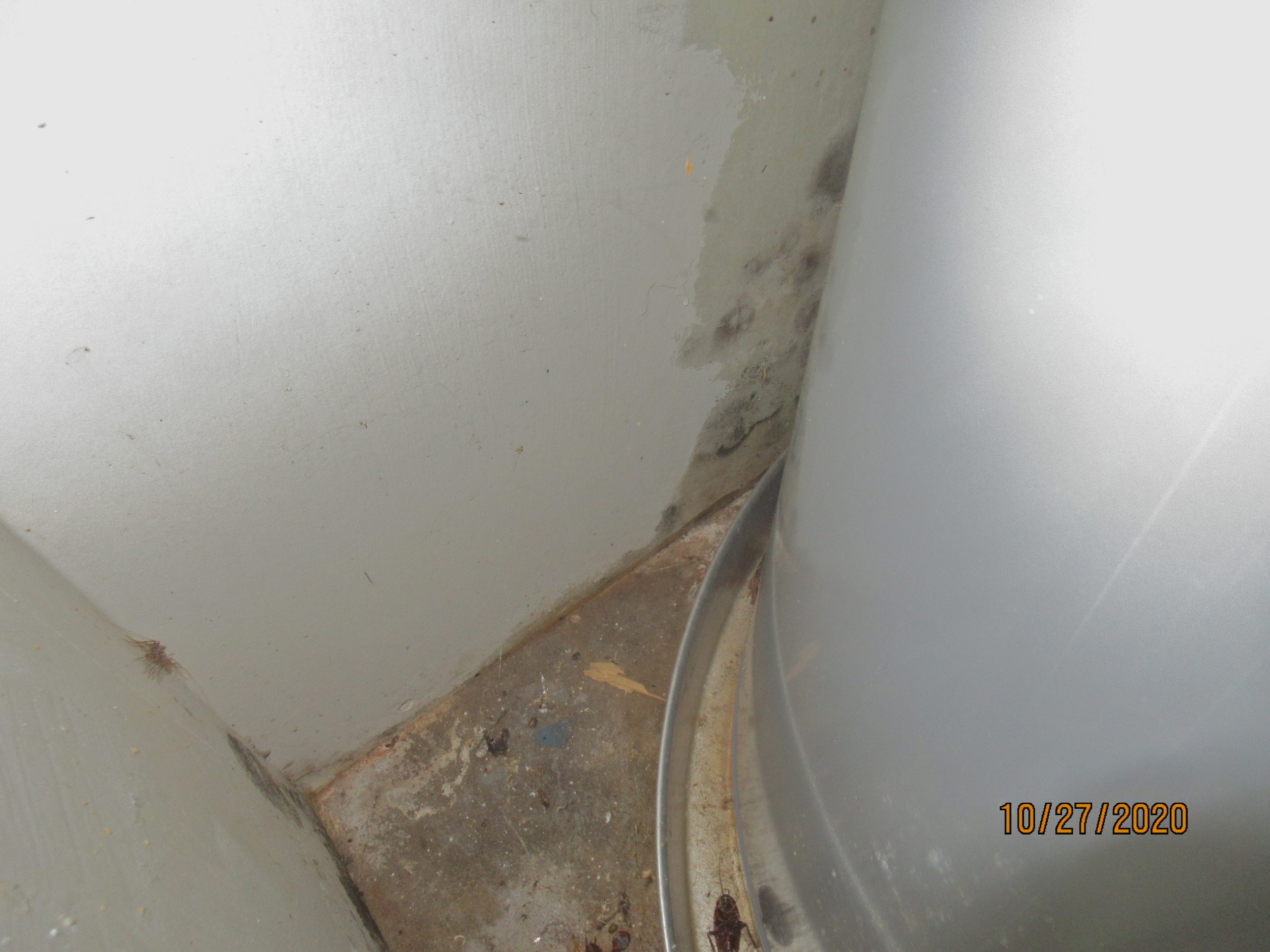 Water heater mold drywall